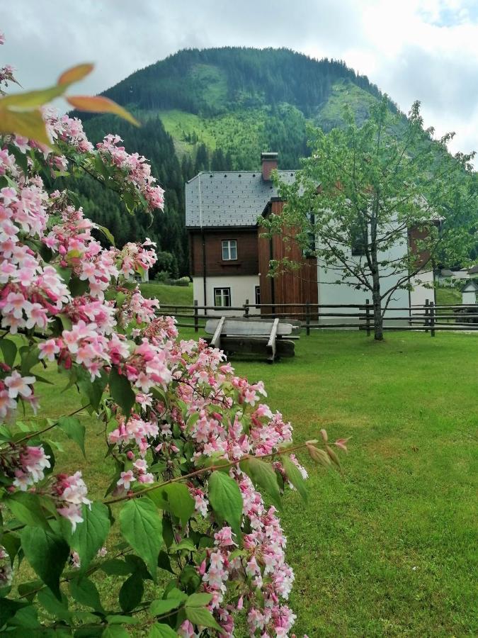 דירות Sankt Nikolai im Sölktal Himmlisch Urlauben St. Nikolai מראה חיצוני תמונה
